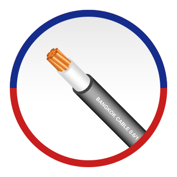0.6/1 kV XLPE/LSHF 1 CORE